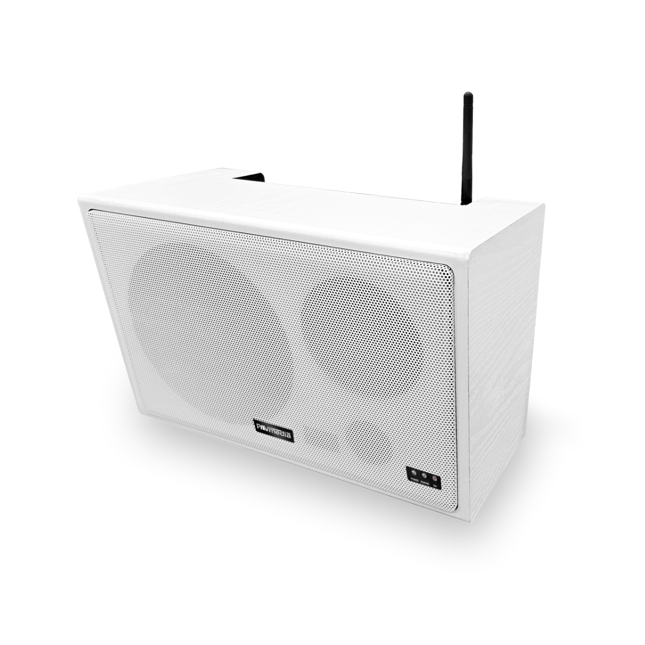 EWS-100M